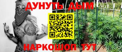 прущие грибы Лесосибирск