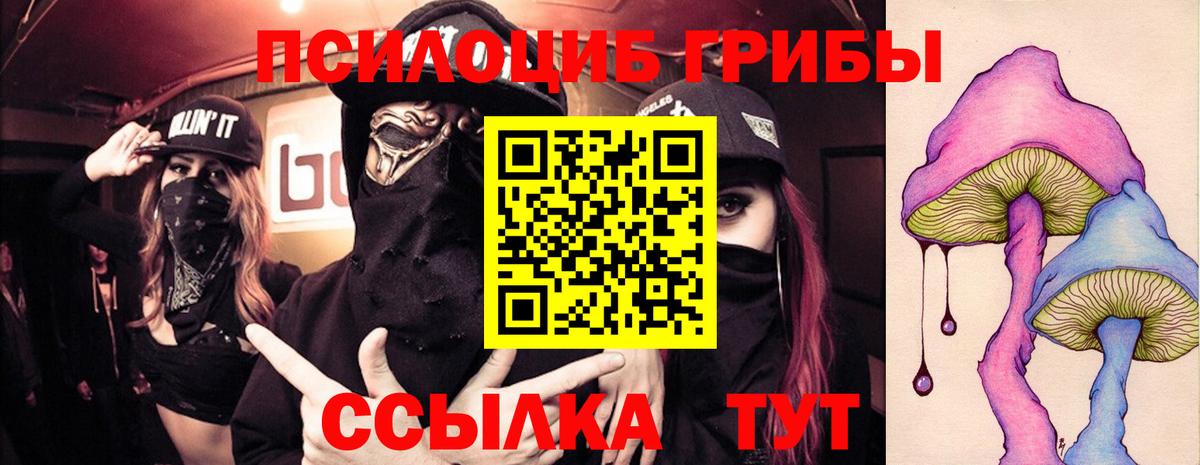 Псилоцибиновые грибы Psilocybine cubensis Ханты-Мансийск